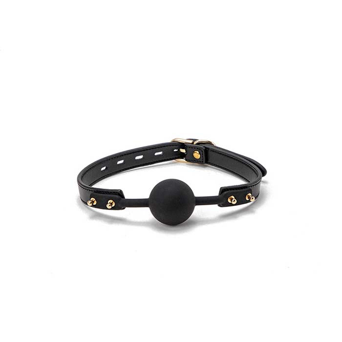 luxury 10 Piece Bondage Set